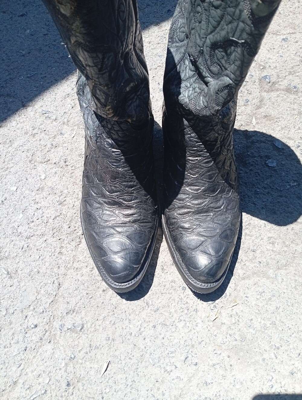 Montana Anteater Cowboy Boots